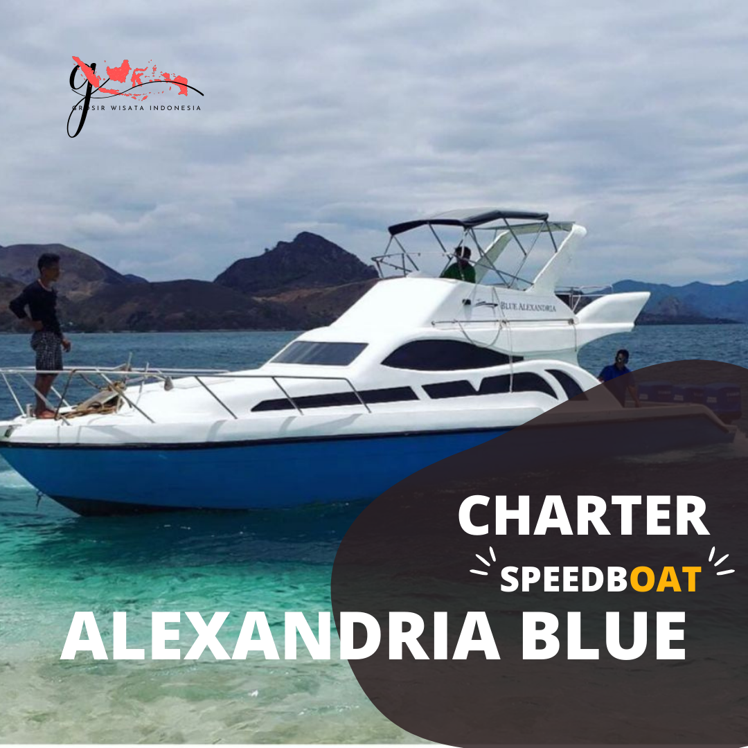 Sewa Speedboat Alexandria Pulau Komodo