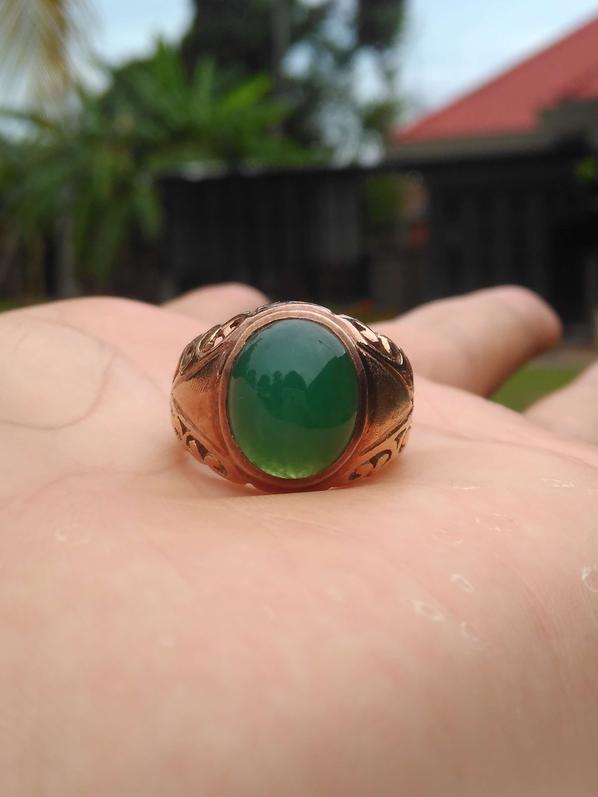 lelang bacan palamea ajib close malam ini