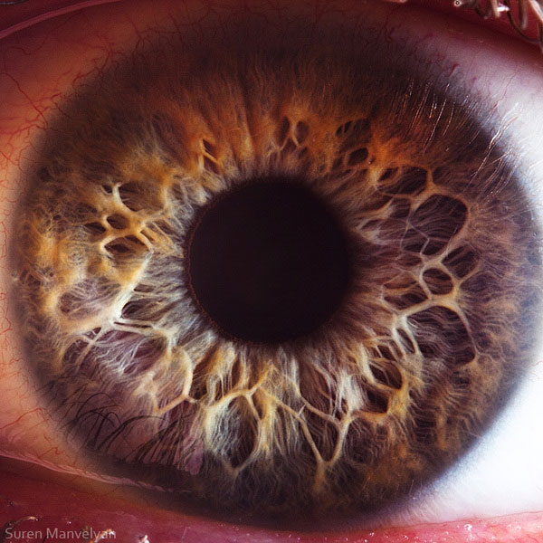 Extreme , Foto Foto Pupil Mata Jika Di Close Up !!!