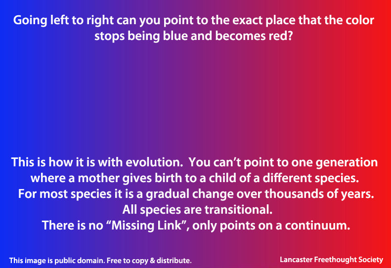 terungkapnya-missing-link-teori-evolusi-konspirasi-evolusi