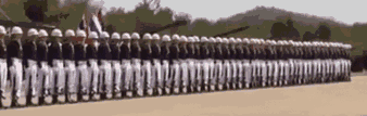 FUNNY GIF(?)