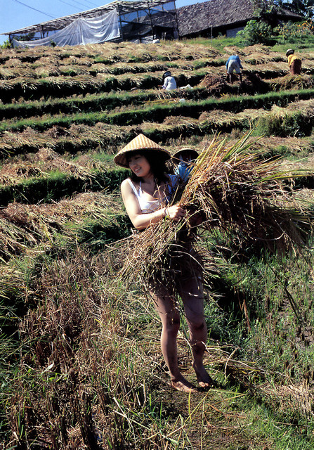 Wow..&quot;La Via Campesina&quot;...Indonesia Negeri Agraris....&#91;Full Pic&#93;