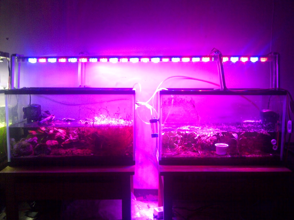 Lampu Aquascape Full Spektrum - LAMPURABI