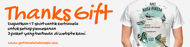 RAJA LIMA NUSA PENIDA BALI PAKET DAY TRIP PROMO