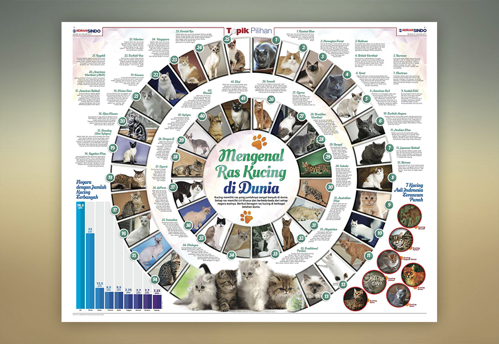 Mengenal 41 Ras Kucing di Dunia
