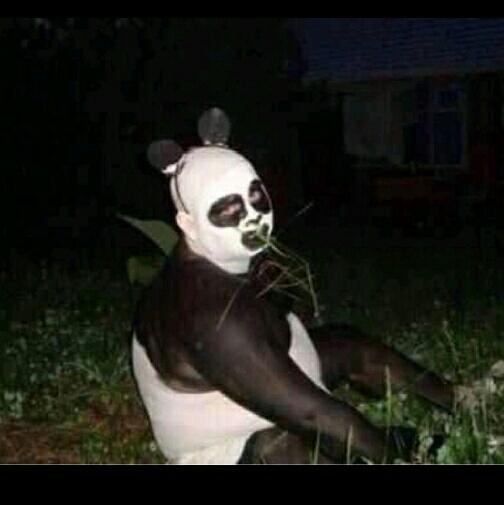 blackpanda-yang-kabur-tuh-ini-bukan-yah