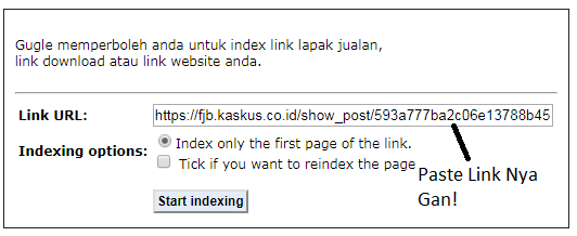Indonesia punya Gugle? (Si mesin pencari)