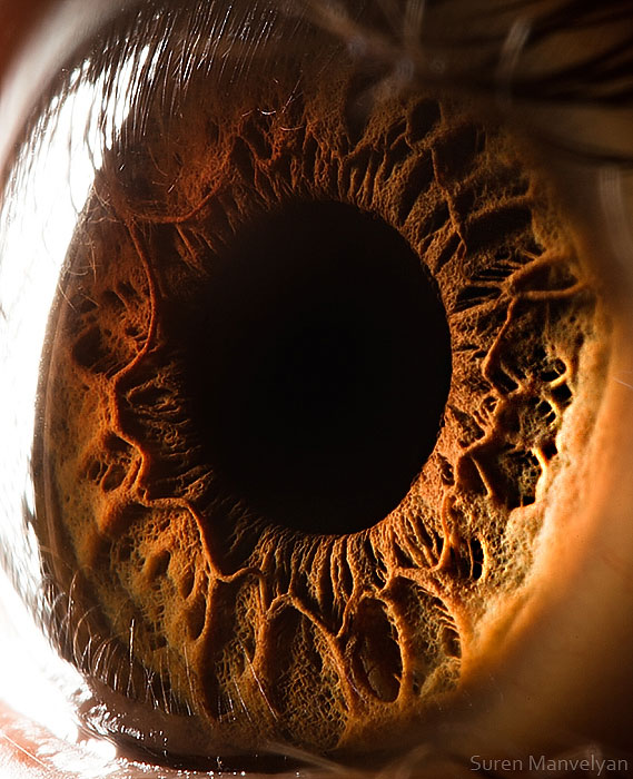Extreme , Foto Foto Pupil Mata Jika Di Close Up !!!