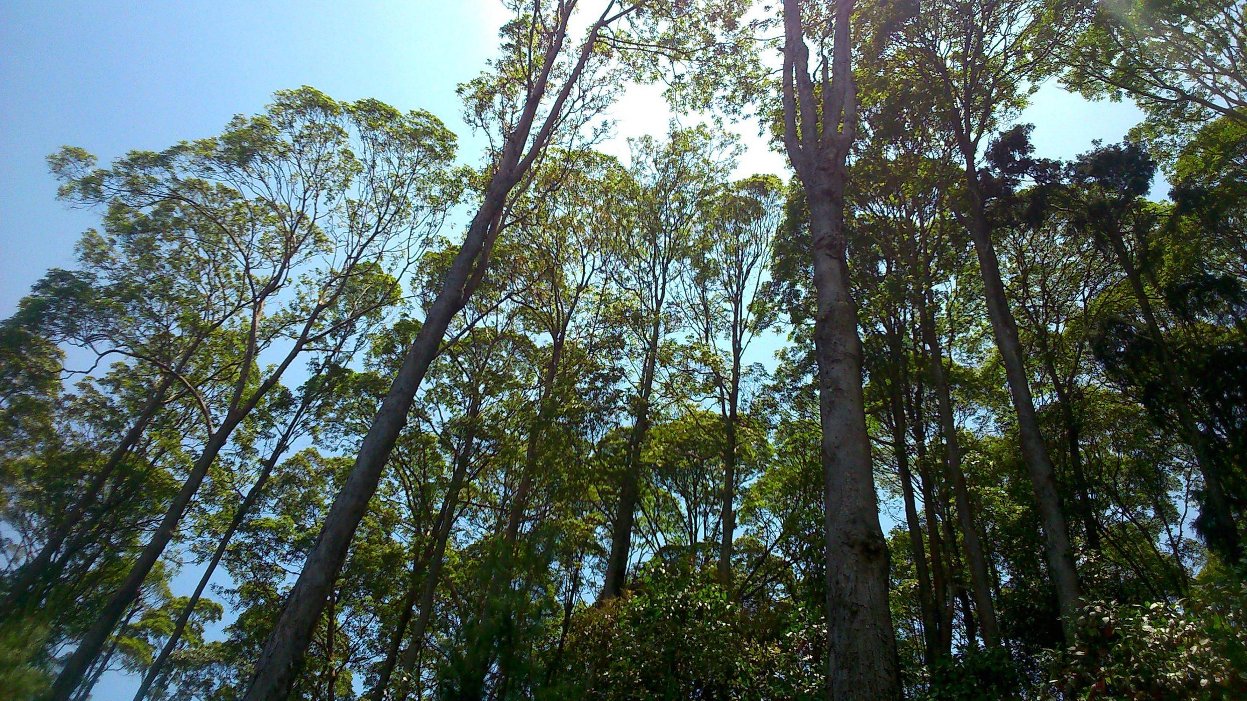 Travelling sekitar Gunung Lawu (Magetan-Karanganyar)