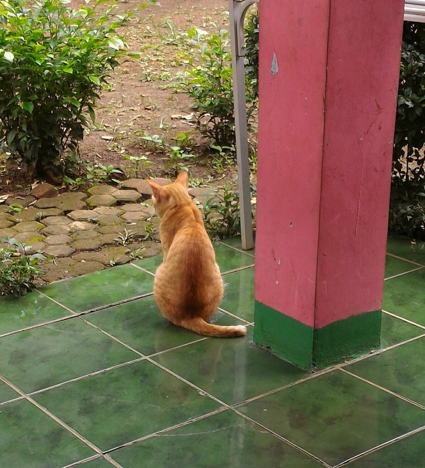 Hubungan Baru Seumur Jagung, Ussi Sudah Di Tinggal Kekasihnya!