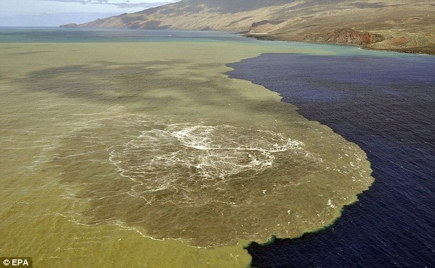 Amazing! Proses Terbentuknya Pulau Baru Akibat Erupsi Ditengah Laut &#91;pic+&#93;