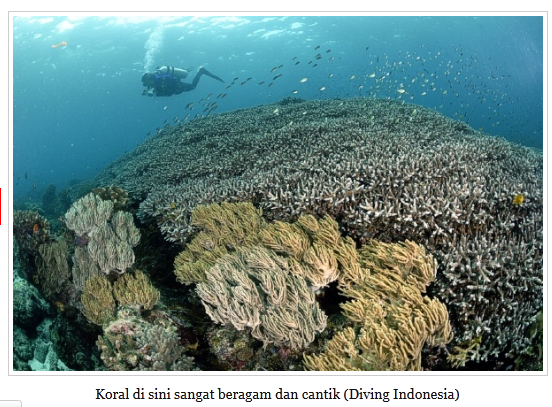 Diving di Tanjung Setan, Berani?