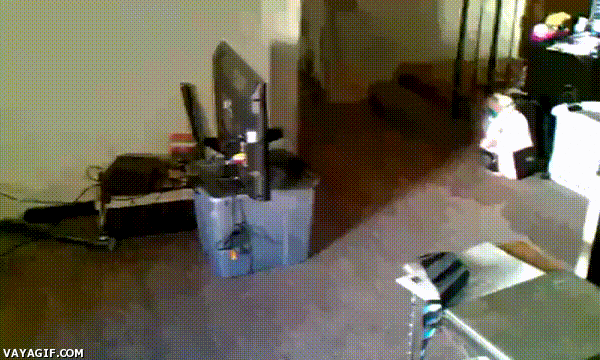 FUNNY GIF(?)