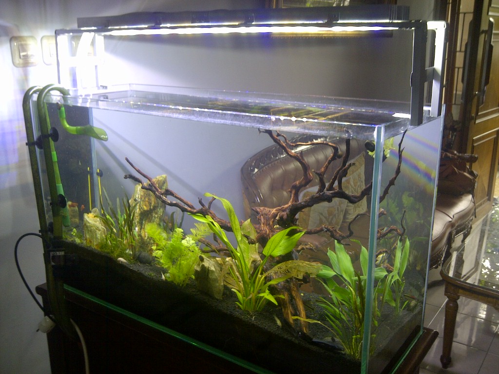 Terjual Lampu custom LED Aquascape KASKUS