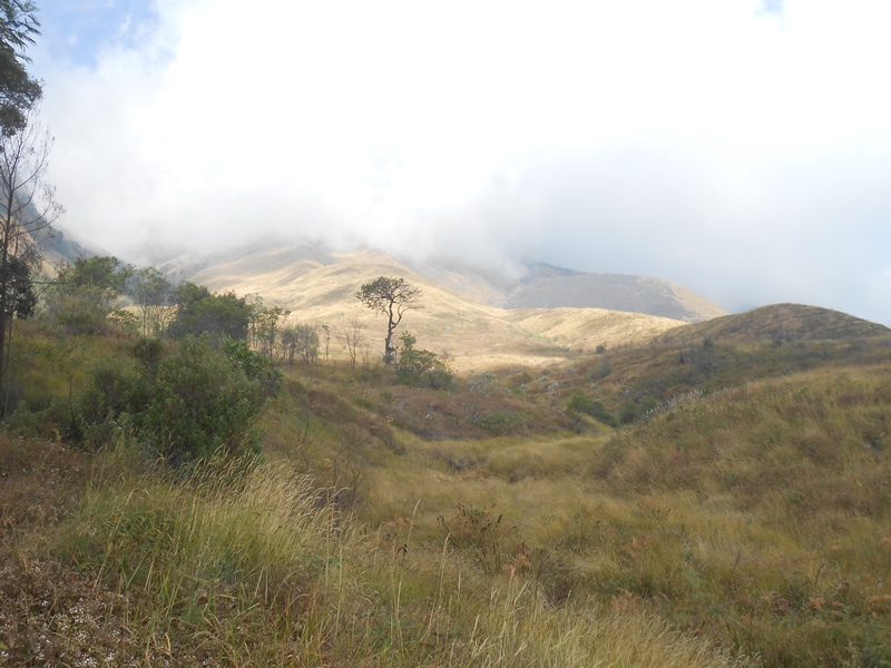 &#91;CATPER&#93; sis lain Sumbing via Bowongso 16-17 Agustus 2015