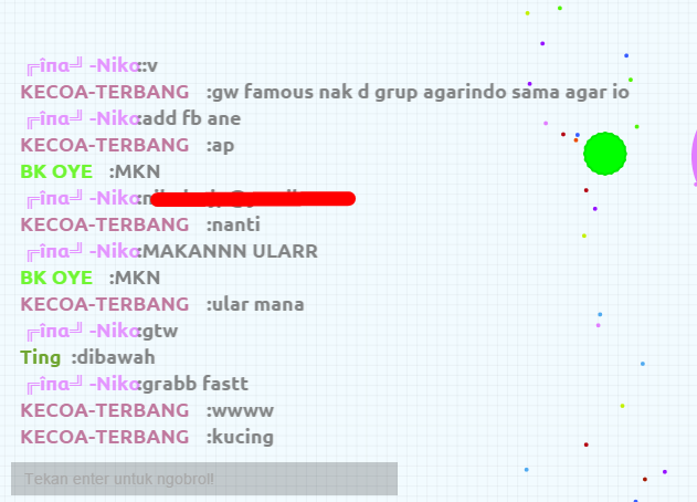 AgarIndo.pw - Agar.io Private Server Indonesia!