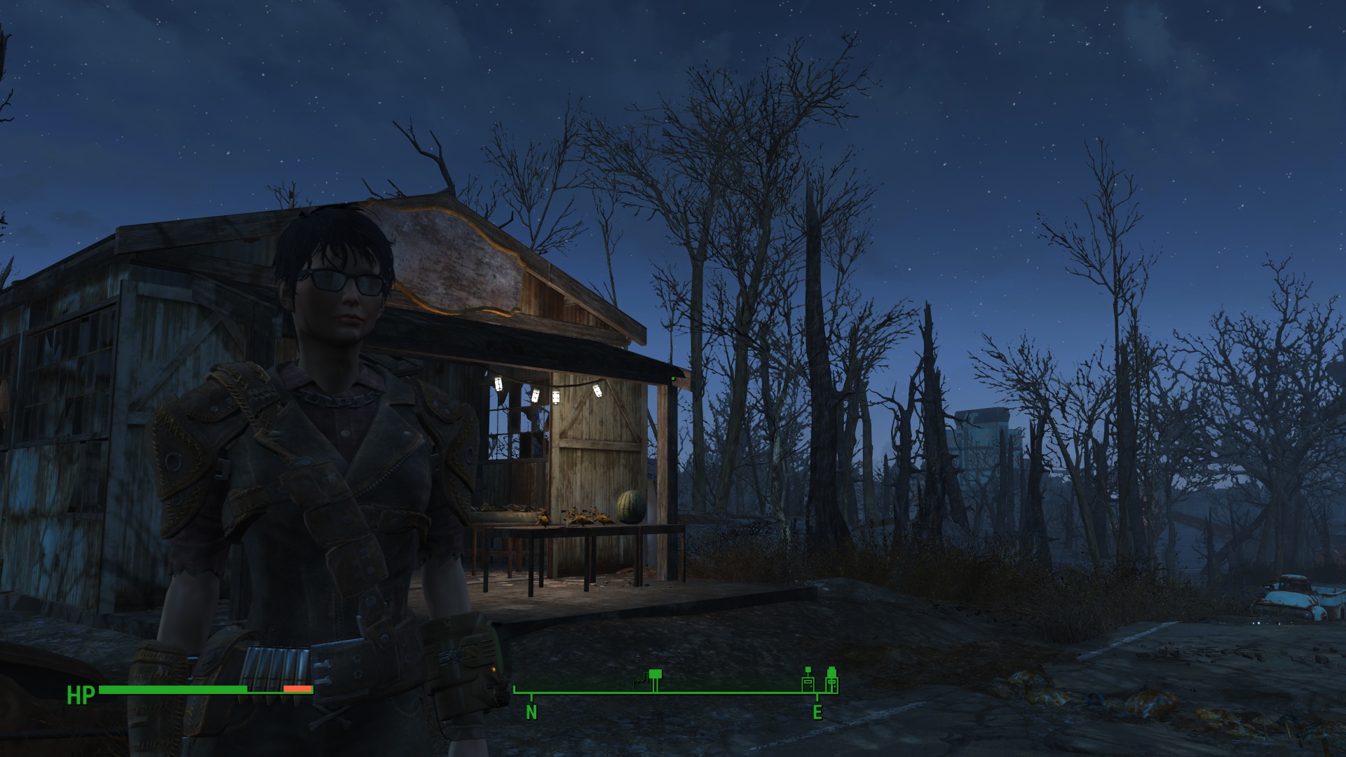 Fallout 4 welcome to home фото 1