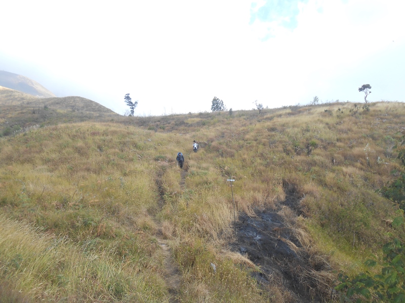 &#91;CATPER&#93; sis lain Sumbing via Bowongso 16-17 Agustus 2015