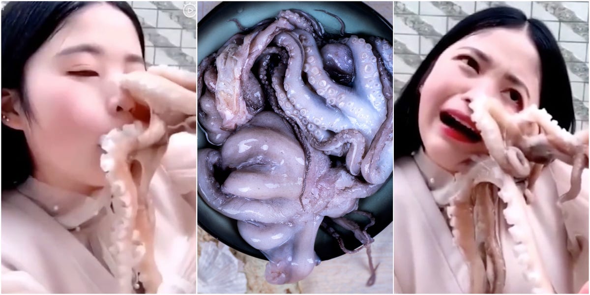Cumi hingga Siput, 5 Parasit Mengerikan yang Mampu Memasuki Tubuh Gansis