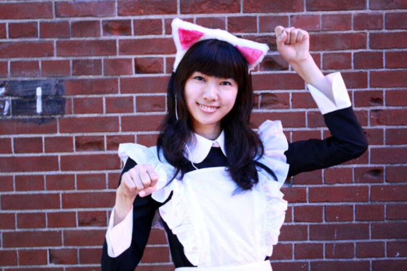 5-hal-yang-menurut-orang-lain-aneh-tapi-biasa-bagi-seorang-ailurophile