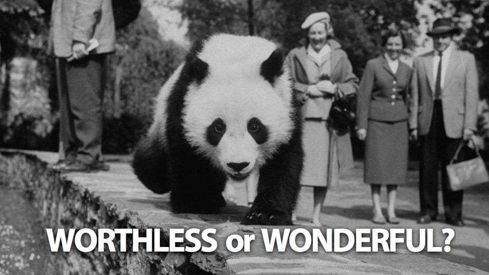 Poll: Sebagian Peneliti Setuju Jika Panda Dibiarkan Punah, Setujukah Anda?