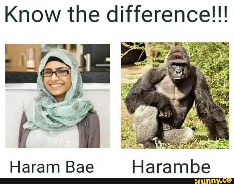 dalam-munas-alim-ulama-nu-rekomendasikan-buang-sampah-sembarangan-haram