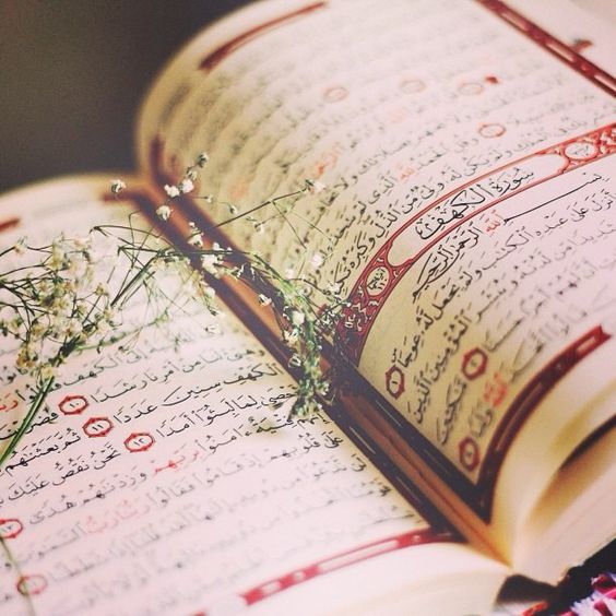 7 Keistimewaan yang terdapat di dalam Al Quran