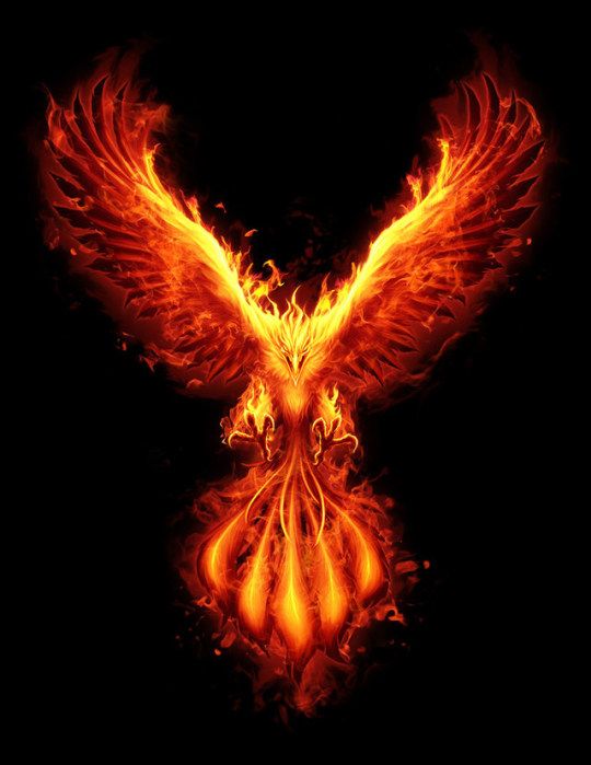 Khodam Penarik Rezeki | Magnet Uang! | Phoenix | MRC