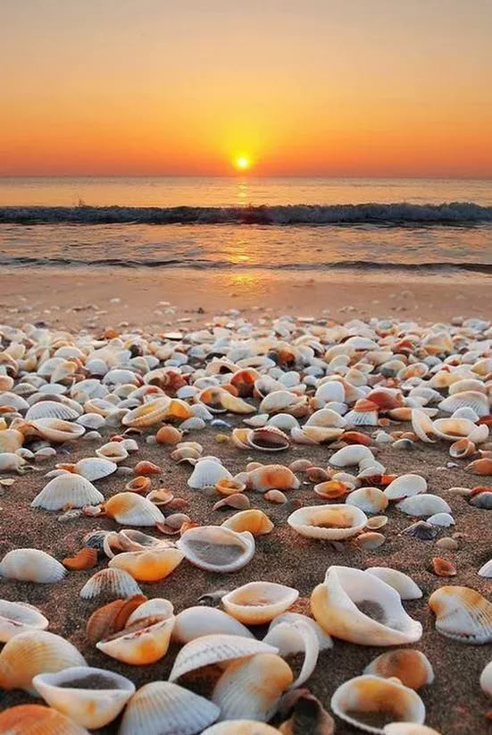 Cek Yuk Tips Menjepret Foto Pantai yang Keren!