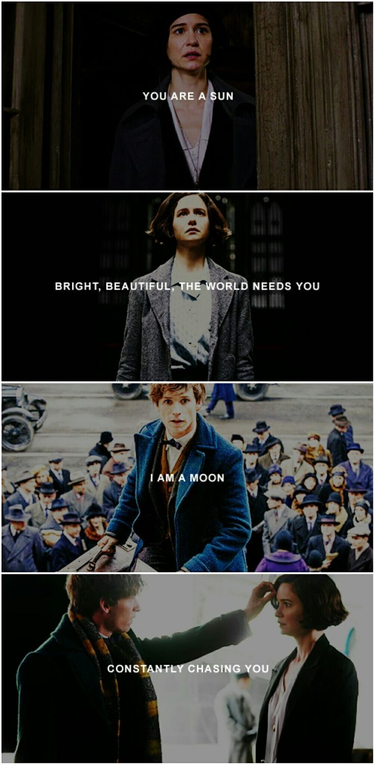 11 Fakta GUuILAAAkK Lak Laak!!! Ada apa dgn NEWT SCAMANDER dan HARRY POTTER????