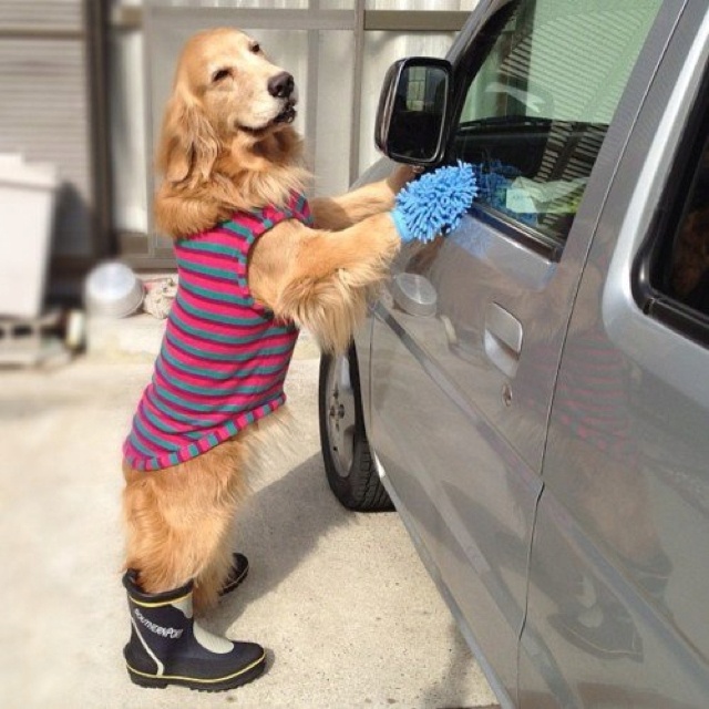 pemprov-dki-mau-batasi-tempat-cuci-mobil