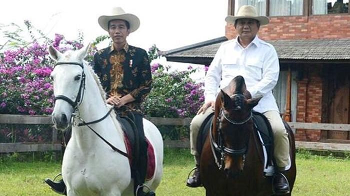 kuda-liar--equus-ferus