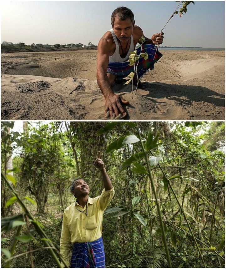 Tanam Pohon Selama 39 Tahun, Pria India Sulap Lahan Tandus Jadi Hutan