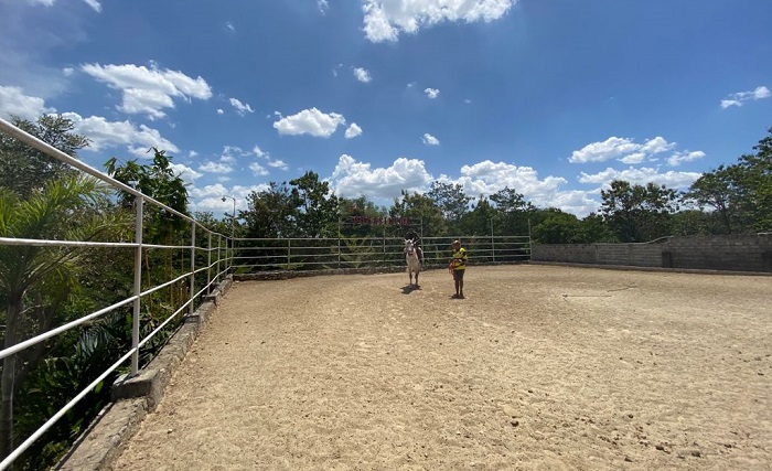 Asyiknya Sukasikuda Stable, Wisata Berkuda di Sukoharjo yang Unik