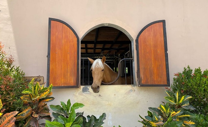 asyiknya-sukasikuda-stable-wisata-berkuda-di-sukoharjo-yang-unik