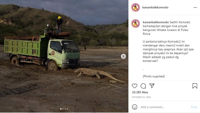 Heboh Pembangunan 'Jurassic Park' TN Komodo, UNESCO Ungkap Kekhawatirannya
