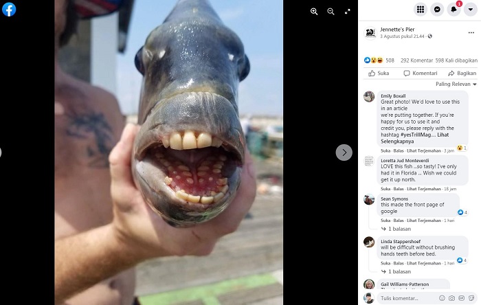 Bikin Heboh! Pria Temukan Ikan Unik Bergigi Manusia saat Memancing