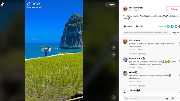 Pantai di Pacitan Viral di Medsos, Laut dan Langit Biru Kontras dengan Sawah