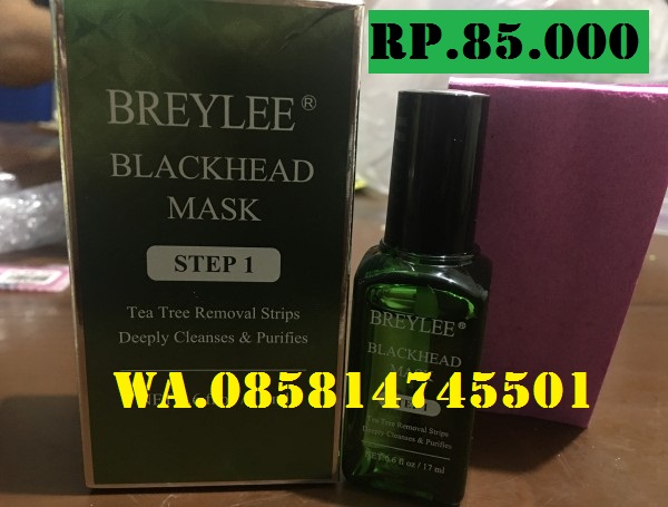 breylee blackhead mask ne kadar WA.085814745501