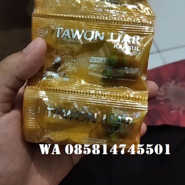 kapsul tawon liar untuk WA.085814745501