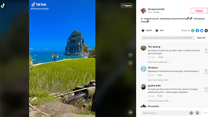 Pantai di Pacitan Viral di Medsos, Laut dan Langit Biru Kontras dengan Sawah