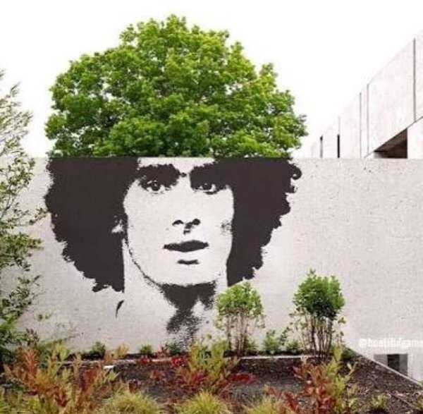 street-art-yang-mengagumkan-ini-menggunakan-tanaman-sebagai-rambut