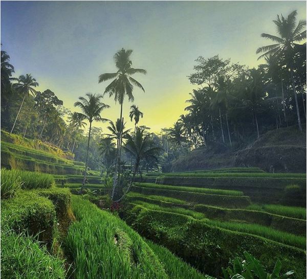 Foto Keindahan Alam Indonesia Yang Menakjubkan | KASKUS