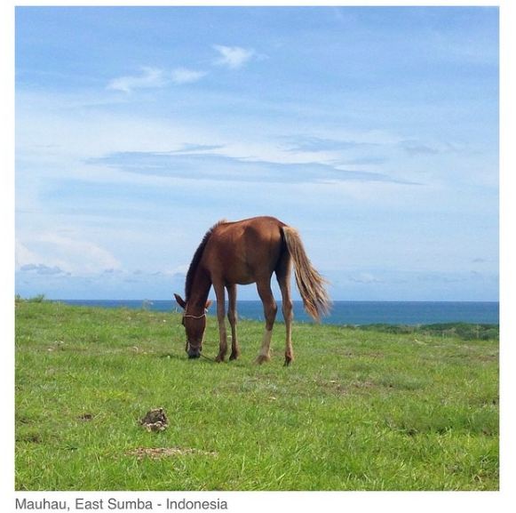10 tempat wisata keren di Sumba