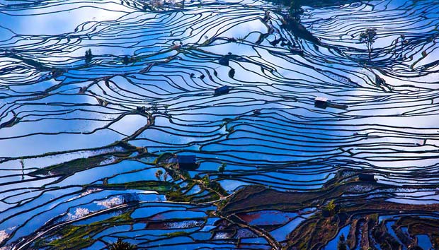 Foto persawahan yang menakjubkan