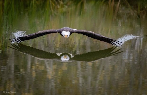 Karya fotografi ini sempurna tanpa Photoshop