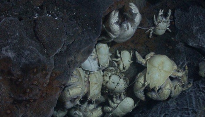 5 Dunia Paling Tersembunyi di Bumi