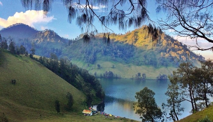 5 Hutan Yang Dikenal Angker di Indonesia