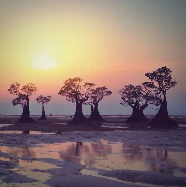 10 tempat wisata keren di Sumba