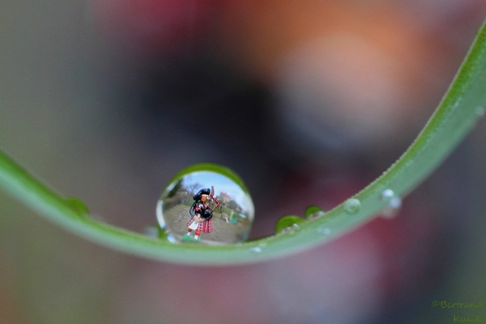 Fotografi makro dalam tetesan air